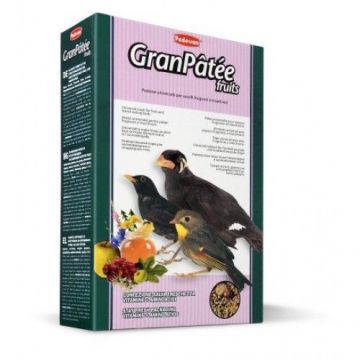 Hrana Pasari, Padovan Granpatee Cu Fructe, 1 kg