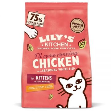 Lily's Kitchen Cat Chicken & White Fish Dry Kitten Food, 800 g