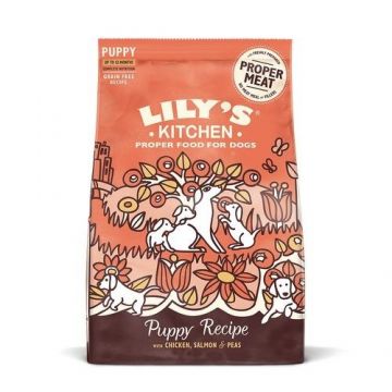 Lily's Kitchen For Dogs Complete Nutrition Puppy Chicken & Scottish Salmon, 1 kg de firma originala