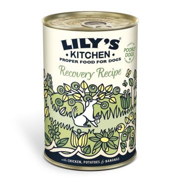 Lily's Kitchen For Dogs Recovery Recipe With Chicken, Potatoes & Bananas 400g