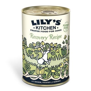 Lily's Kitchen For Dogs Recovery Recipe With Chicken, Potatoes & Bananas, 400 g de firma originala