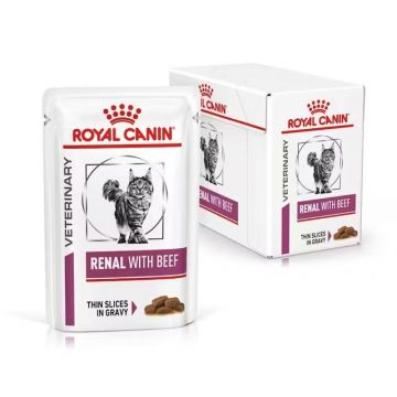 Royal Canin Renal with Beef, hrana umeda pisica, 12x85 g