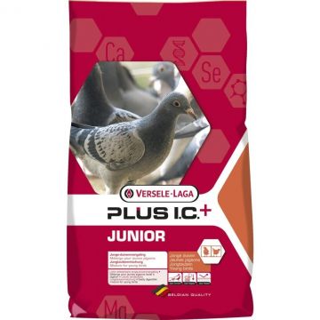 Hrana porumbei, Versele-Laga Junior Plus IC+ Black, 20 kg ieftina