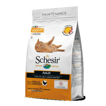 Schesir Cat Maintenance Chicken, 10 kg la reducere