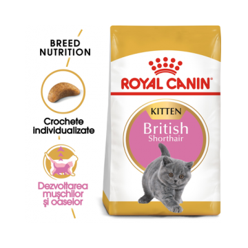 ROYAL CANIN Kitten British Shorthair 20 kg (2 x 10 kg) hrană uscată pentru pisoi British Shorthair de până la 12 luni