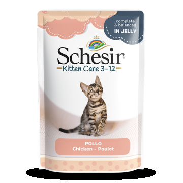 Schesir Kitten Chicken Fillets in Jelly, plic, 85 g