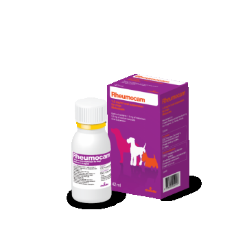 Rheumocam, 1.5 mg/ ml solutie orala, 42 ml de firma original
