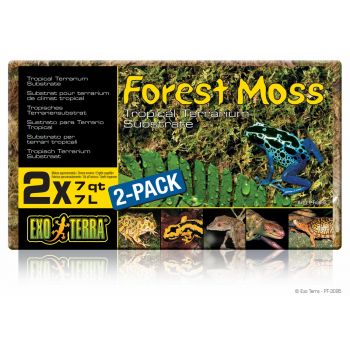 Asternut pentru terariu Exo Terra Forest Moss Compact 2x7L