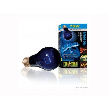 Bec Hagen Exo Terra Night Glo A19 75 W PT-2130 ieftin