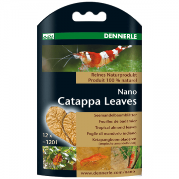 Frunze de migdal Dennerle Nano Catappa Leaves