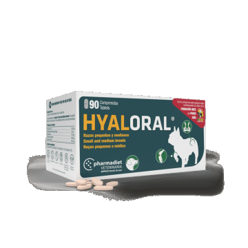 HyalOral Small & Medium Breed, 90 tablete