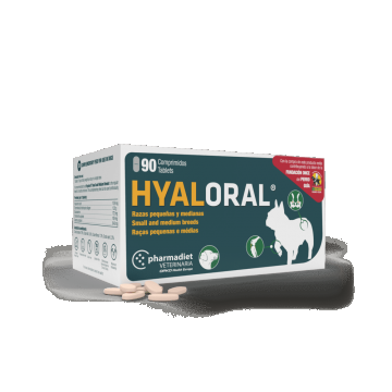 HyalOral Small & Medium Breed, 90 tablete ieftin