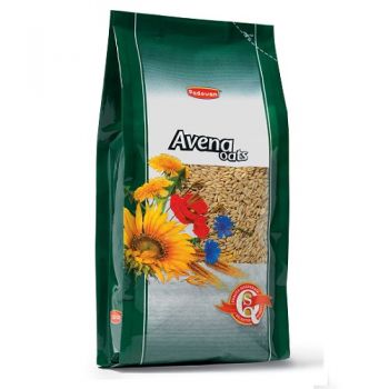 Ovaz Decorticat Padovan Avena 1Kg Ovaz Decorticat Padovan Avena 1Kg