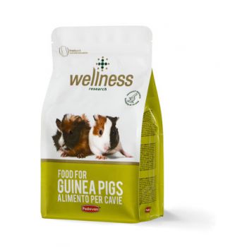 Hrana pentru porcusori de Guineea Wellness G-Pig 1 kg