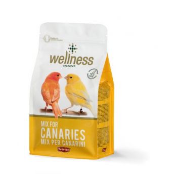 Hrana pentru canari Wellness 1kg