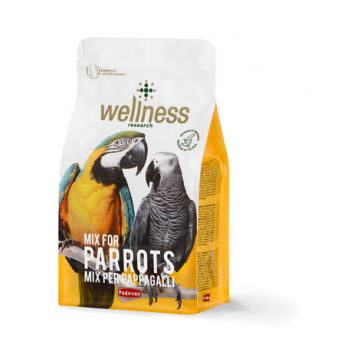 Hrana pentru papagali Wellness 750g