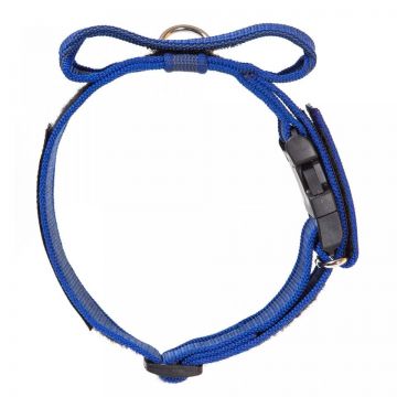 Zgarda K9 nylon cu maner, 50 mm, albastra