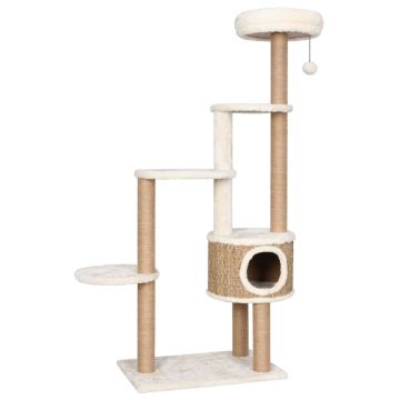 vidaXL Ansamblu pisici cu pernă & stâlp de zgâriat 148cm iarbă de mare