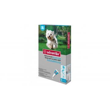 Advantix Caini 4-10 Kg 1 Pipeta