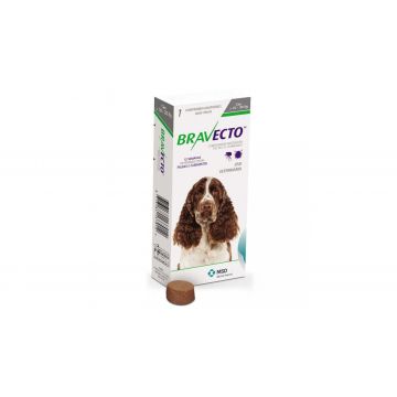 Antiparazitar extern pentru caini intre 10-20 kg Bravecto, 1 tableta (500 mg)