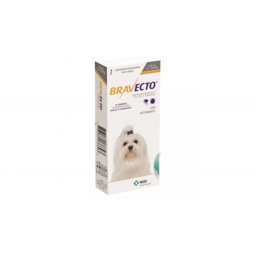 Antiparazitar extern pentru caini Bravecto (2-4.5 kg), 1 tableta