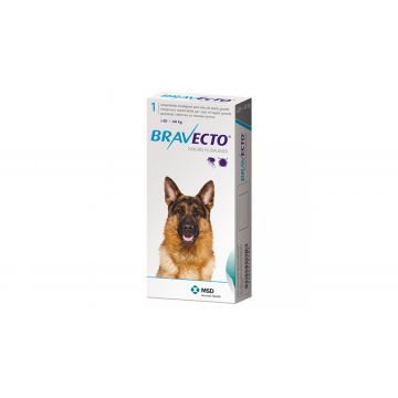 Antiparazitar extern pentru caini intre 20-40 kg Bravecto, 1 tableta (1000 mg)