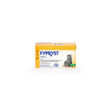 Fypryst Cat 50 mg, 1 Pipeta