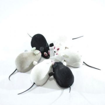 Jucarie Soritel Cu Cheita