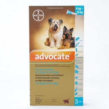 Advocate caine 4-10 kg 1 Pipeta