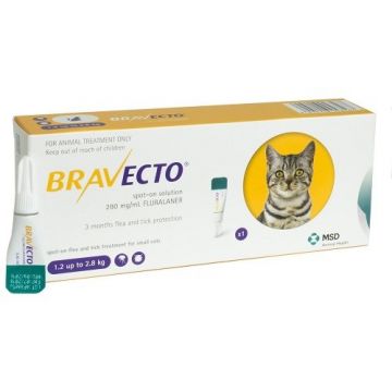 Bravecto Spot On Pisica 1.2-2.8 kgt X 1 Pipeta