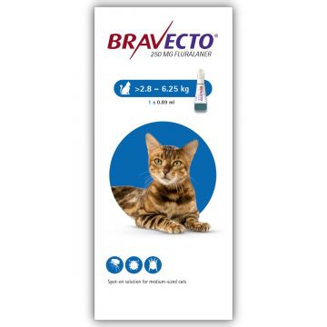 Bravecto Spot On Pisica 2.8-6.25 kg X 1 Pipeta