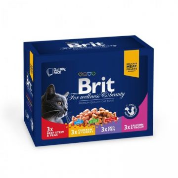 Brit Premium Cat Plic Family Variety 12 Plicuri x 100 Gr