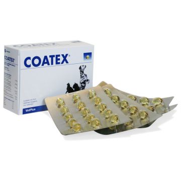 Coatex Blister 60 Capsule