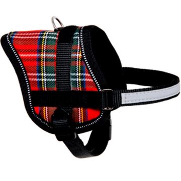 Ham caine, roz, reflectorizant, 31-40 cm