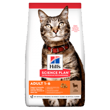 Hill's Pisici Adult Miel si Orez 3 kg