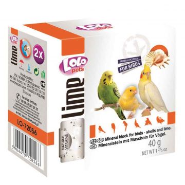 Inimi de Calcar cu Cochilii de Stridiii Pentru Pasari 40 Gr Inimi de Calcar cu Cochilii de Stridiii Pentru Pasari 40 Gr
