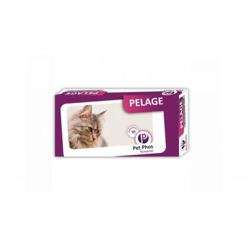 Pet Phos Pelage Piele si Blana 36 Tablete