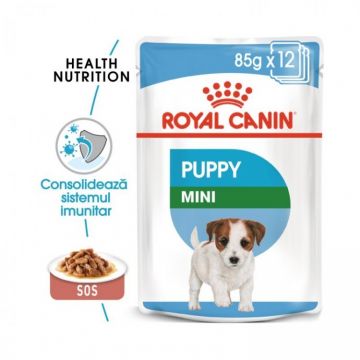 Royal Canin Puppy Mini 1 Plic X 85 Gr