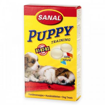 Sanal Puppy 40