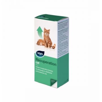 Viyo Recuperation Cat All Ages 150 Ml