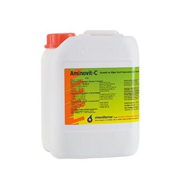 Complex vitamine si aminoacizi, Aminovit, 5 L