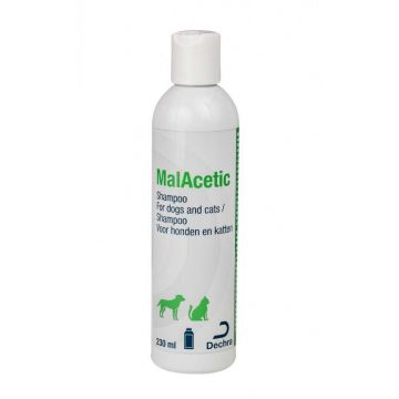 Malacetic Shampoo, 230 ml