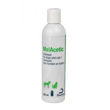 Malacetic Shampoo, 230 ml ieftin