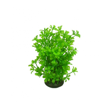 AQUAEL Planta din plastic Cp-057 6'' (15cm)