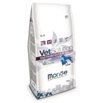 Monge Vetsolution Gastrointestinal Canine, 2 kg