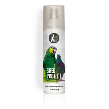 Shed Protect, 200 ml ieftina