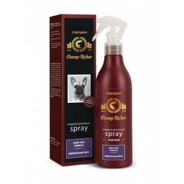 Champ Richer Spray Stralucire, 250 ml ieftin