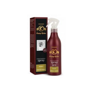 Champ Richer Spray Volum, 250 ml