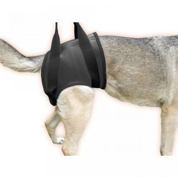 Ham reabilitare spate, Julius-K9, L (60-78 cm)