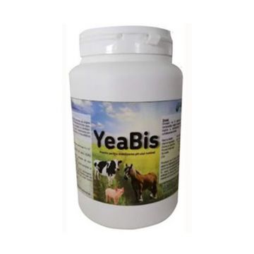 YeaBis, cutie, 1 kg